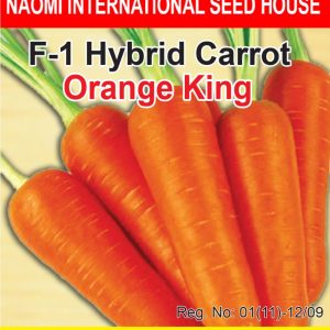 কেল-(Kale),আনুমানিক ২০০ বীজ (Copy)